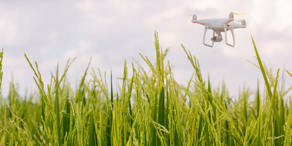 A drone flying over plants